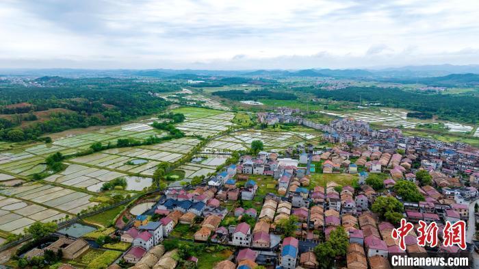 江西吉水春日田园景如画