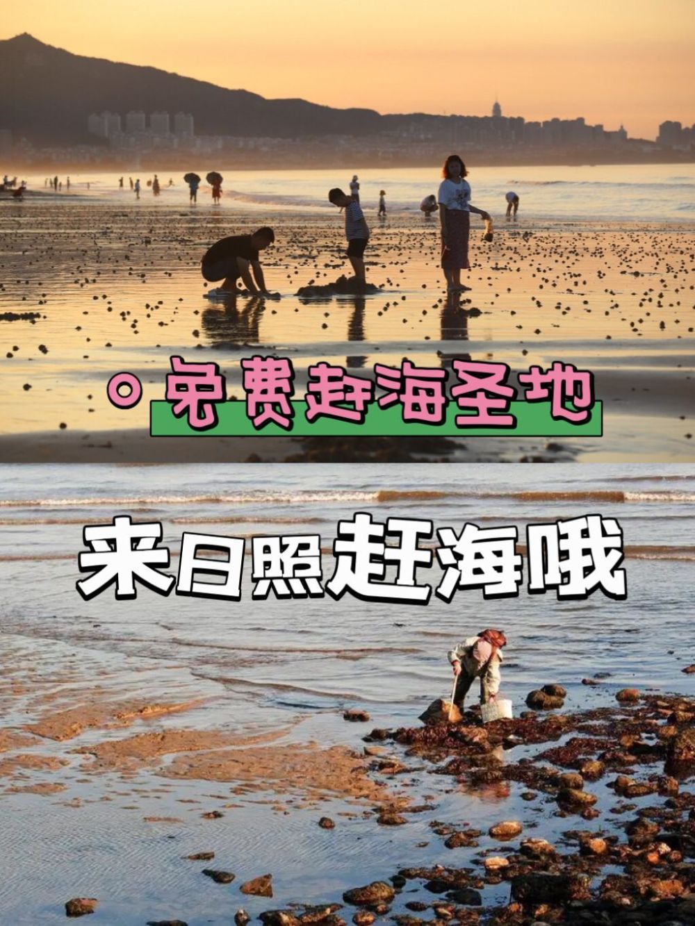 下面是我分享給大家免費的趕海地點:任家臺礁石公園李家臺趕海園張家