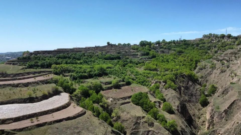 龙泉镇:以生态画笔绘出秀美家园