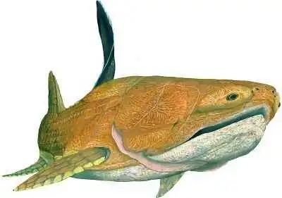 为什么人类不进化出攻击性器官?_腾讯新闻