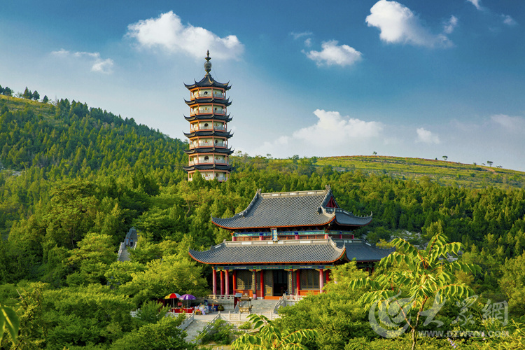 山东枣庄:石榴花开迎客来