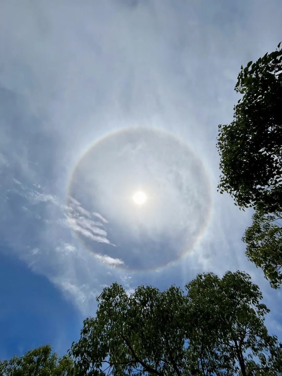 今天申城天空出现美丽日晕,你看到了吗?