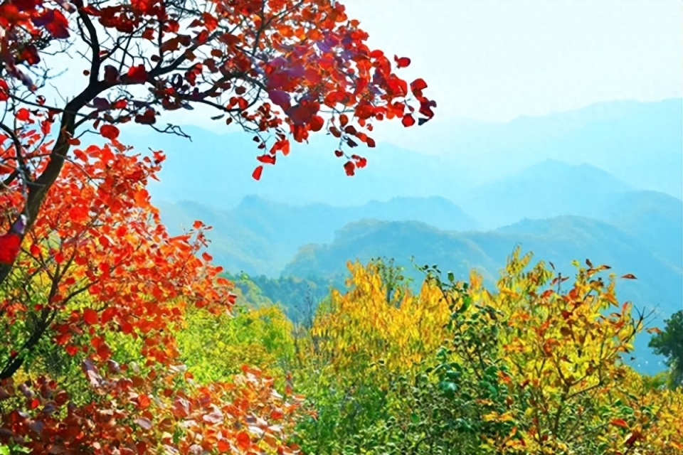 襄垣仙堂山:红叶满山惹人"醉"