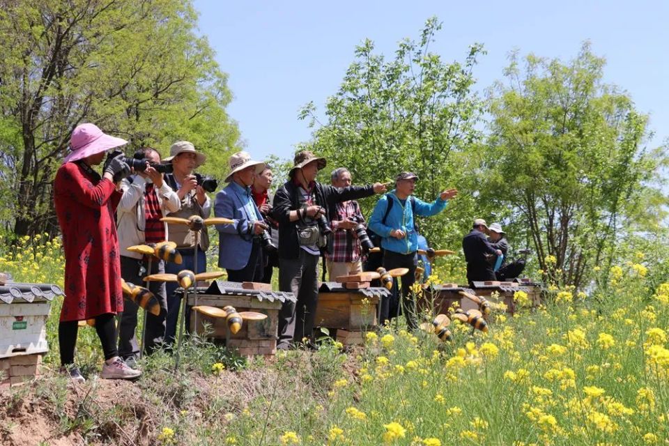康养山城 趣享花海 宜君县研学旅游季今日正式启动