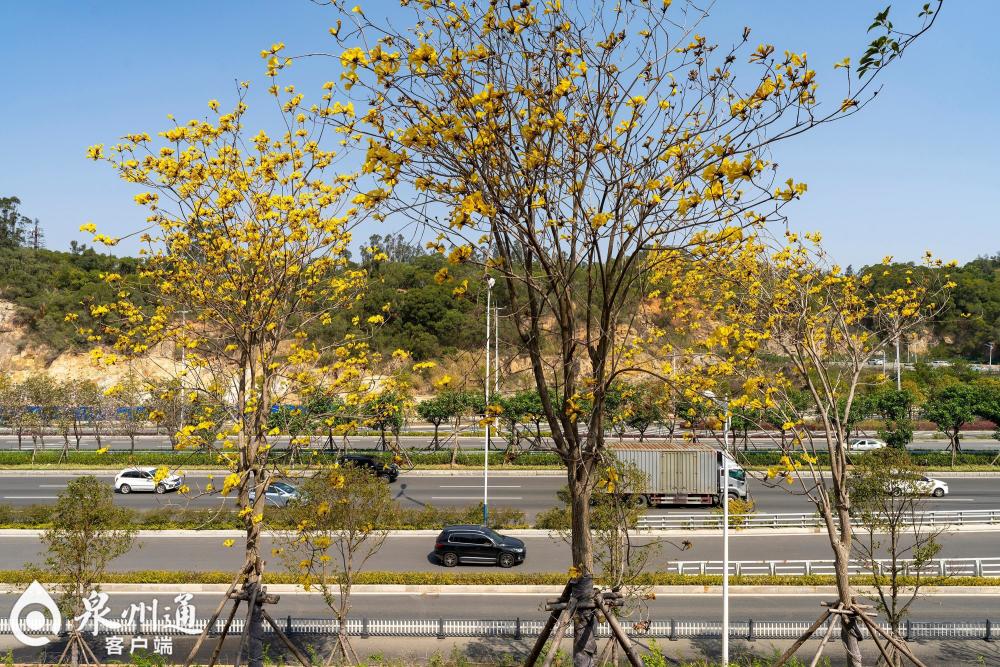 2024年泉州市计划新改建公园绿地100公顷新增精品公园3个口袋公园43个