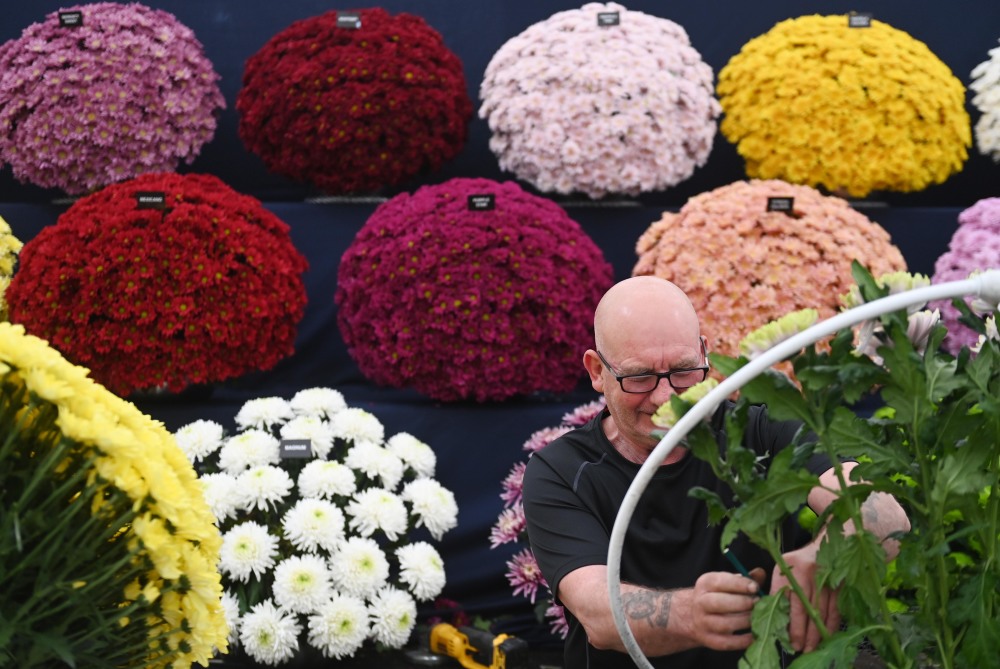 (外代二线)伦敦切尔西花展即将开幕