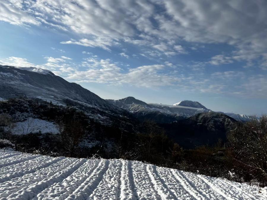 圖集雲南永善雲上馬楠春雪如畫