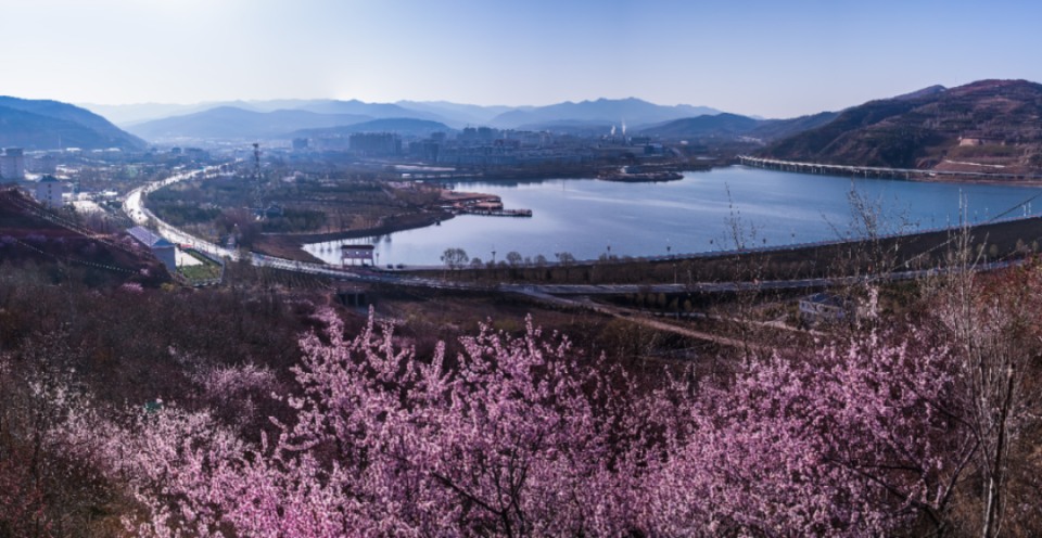 山花烂漫浪固原—赏花打卡点_腾讯新闻