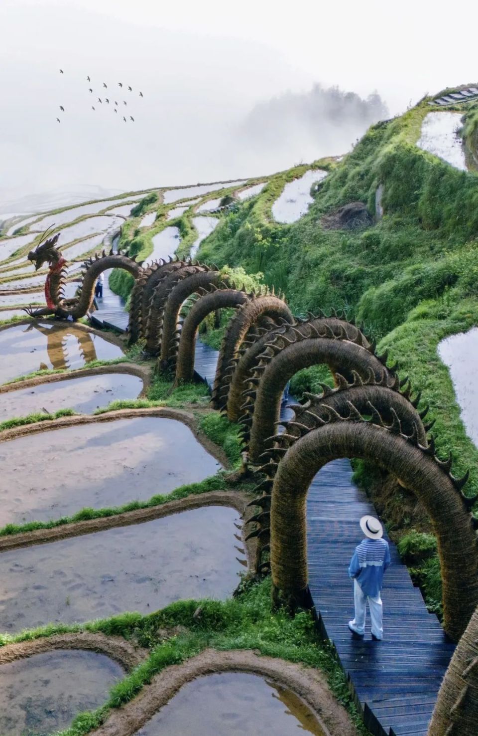 云和县旅游图片