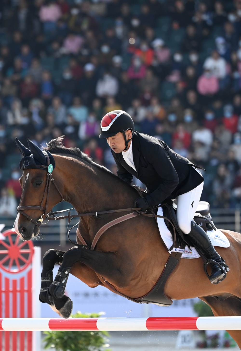 全国马术三项赛锦标赛乔仑巴特个人赛夺冠