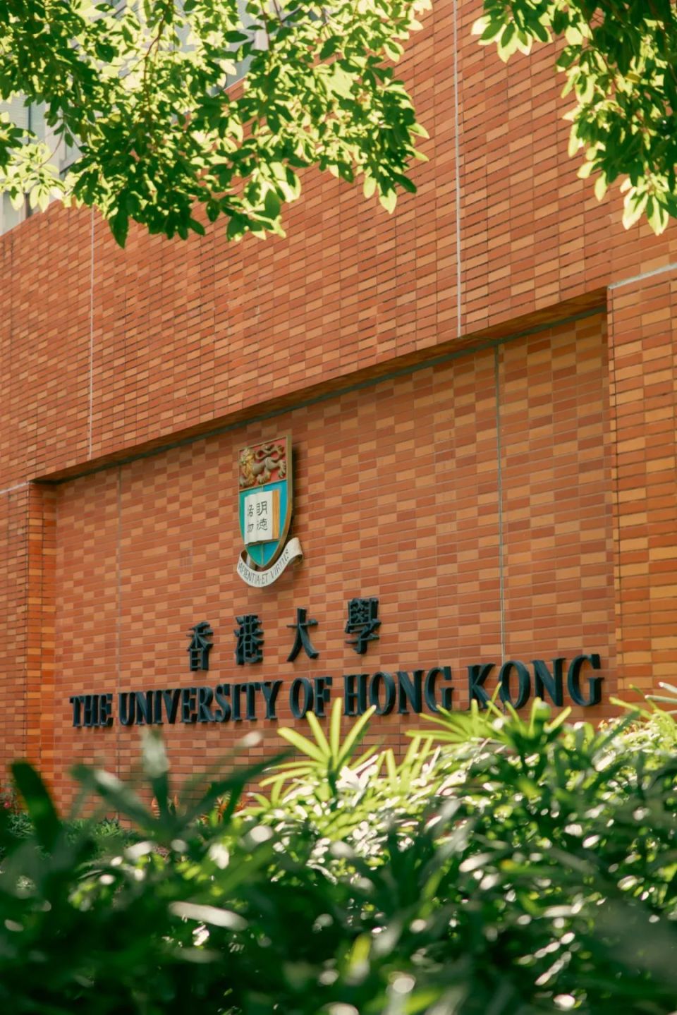 为理想壮游,终能收获希望|第17期精英律师全球视野高阶班,香港大学站