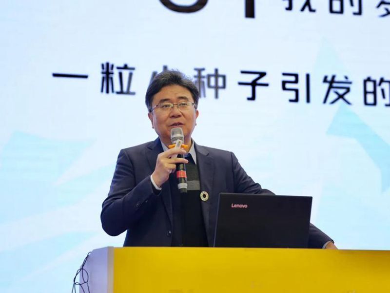 启梦温宿美育天山启梦者行动计划公益项目走进新疆温宿县