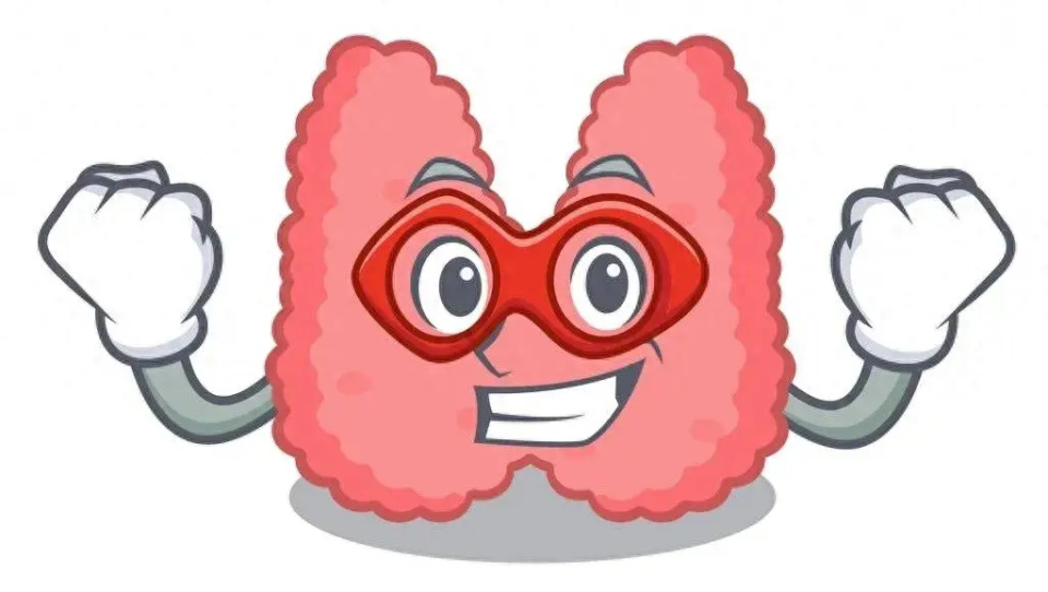 关爱甲状腺,呵护人体内的"小蝴蝶"!为健康"颈"上添花