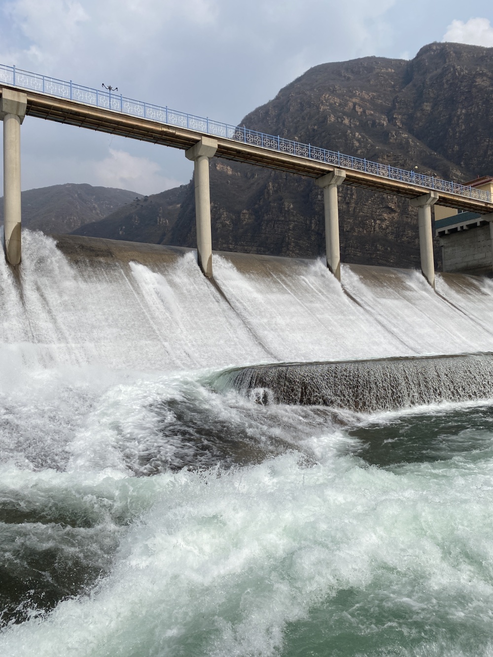在桃林口村附近用午餐后,其中31名游客到桃林口水库下游的青龙河水域