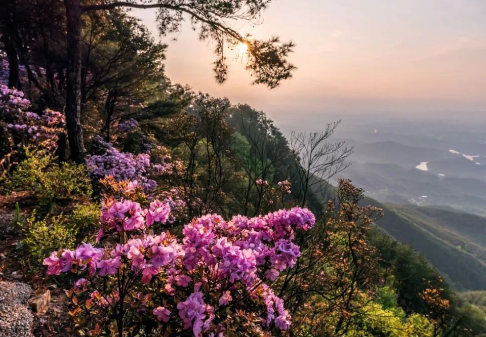 全州宝鼎山图片