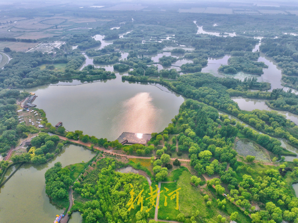 初夏的济西国家湿地公园,绿树如茵,碧波荡漾.
