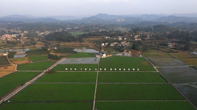 自贡荣县观山镇推动三农工作提档升级加快乡村振兴步伐