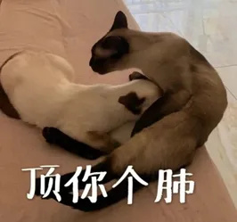 愛奇藝：香港最準最快資料今晚澳門必中一肖一碼1國產(chǎn)旗艦手機們，這回真的要漲價了