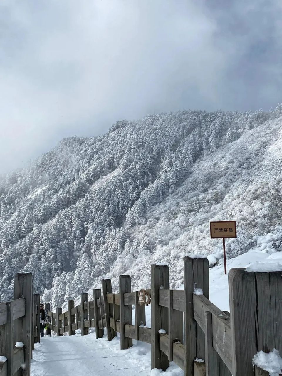 大雪纷飞的图片实景图片