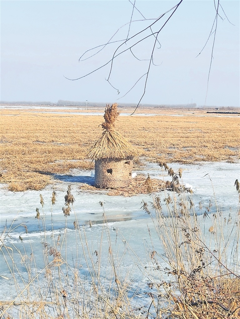 肇东千鹤岛 涵养生态 筑巢待鸟_腾讯新闻