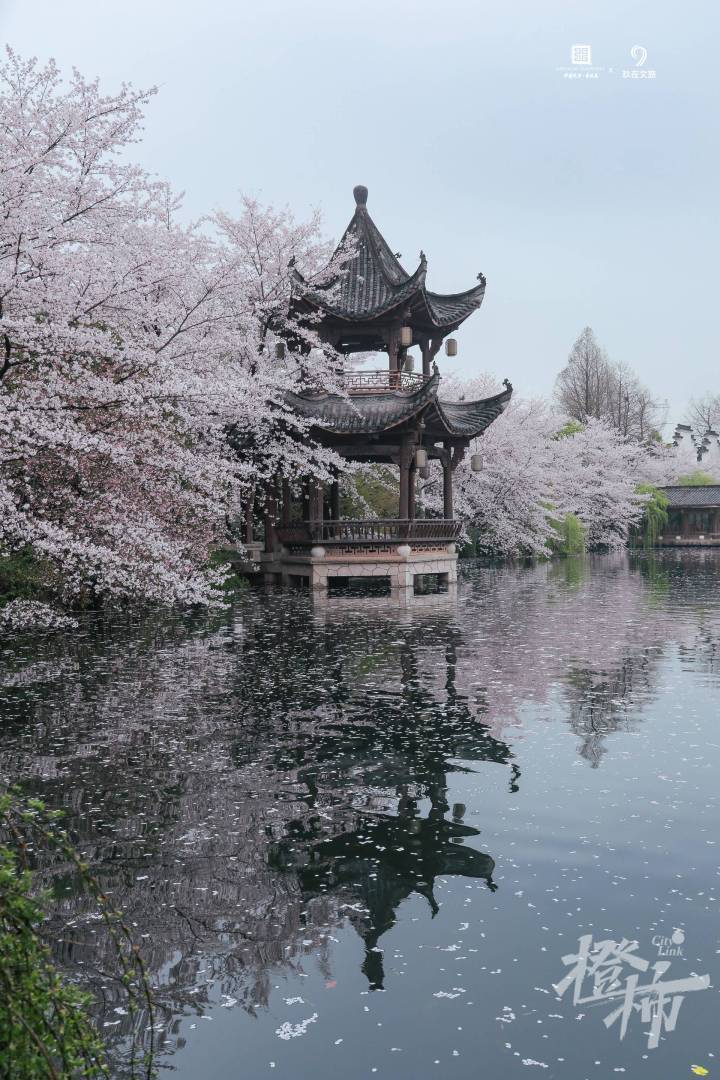 位于良渚的最美中国园林"梦溪苑"正式开园,即将向公众开放!