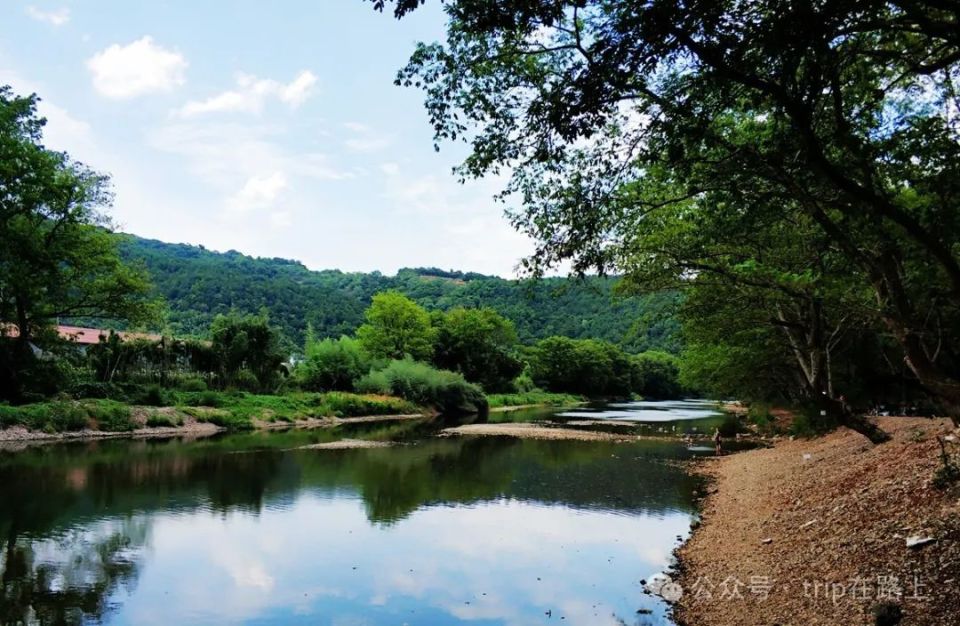 宁波版"绿野仙踪",太美了,在这里赏景,人生就不"卷"了