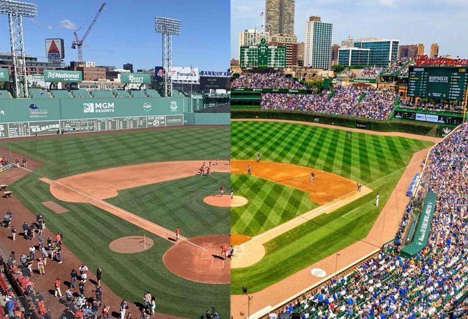 mlb