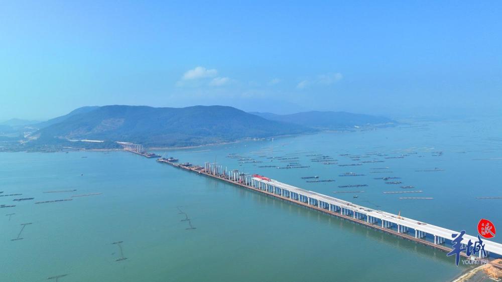 海上百米高空筑大桥肩膀阳江港特大桥最新进展来了