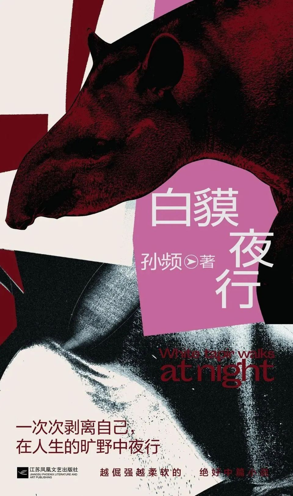 照见小城女性内心燃烧的光亮