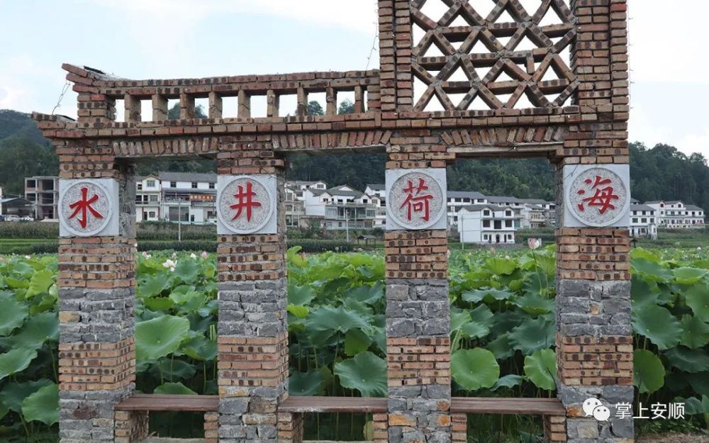 21℃的城市 360度的人生|化处镇水井村:以"节"为媒 助力乡村振兴_腾讯