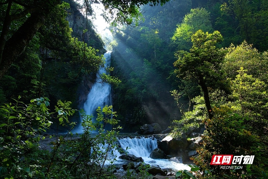 介绍:酒埠江风景区以岩溶峰丛谷地地貌和溶洞,地下河系统为特点,集