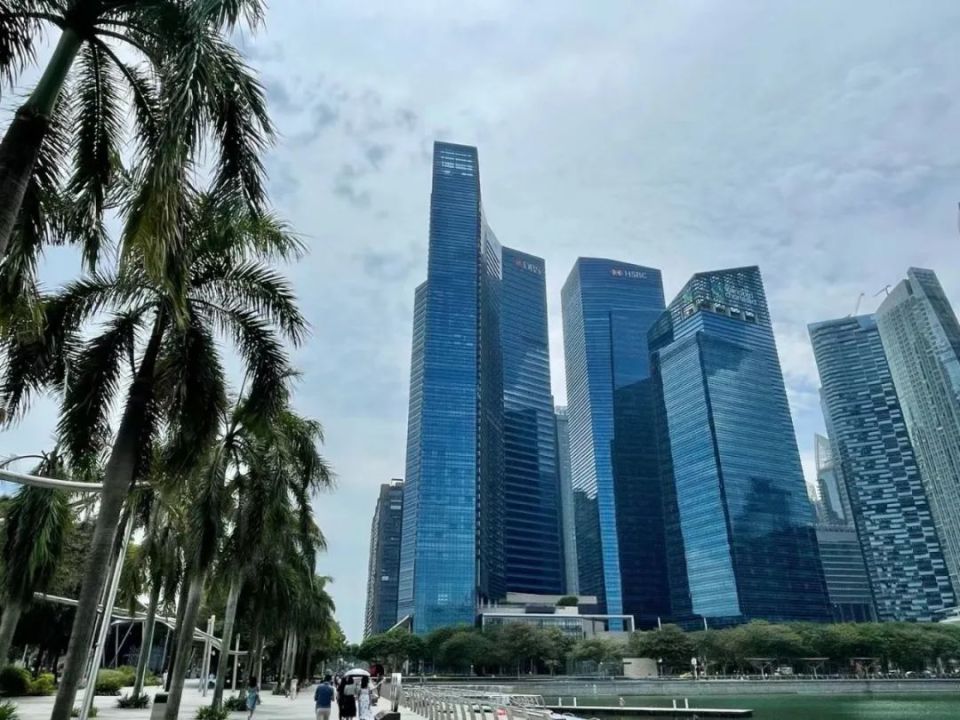 时有所需,必有所为 | 上海律师在新加坡