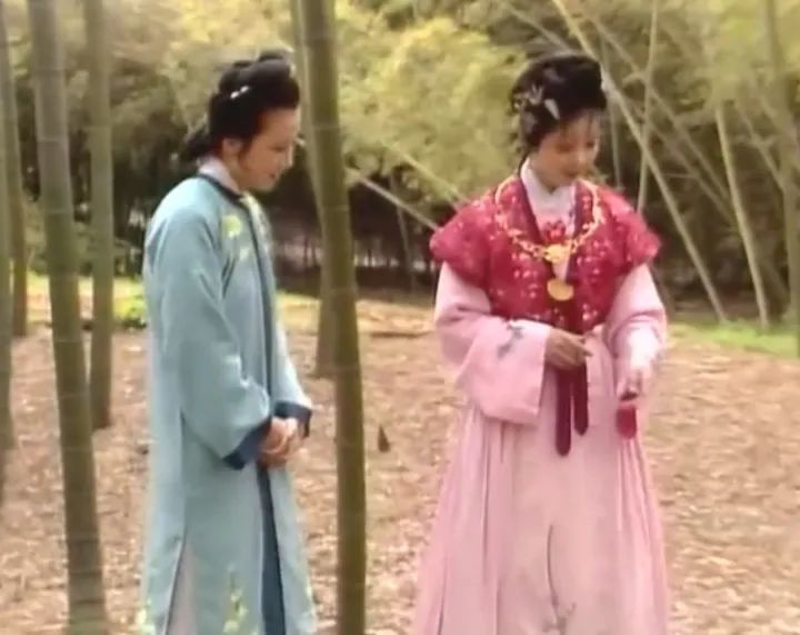 原班人马重聚，87版红楼梦35周年纪念音乐会下周登陆杭州大剧院！你知道这部经典电视剧“打卡”过杭州这些地方吗？(红楼梦30年音乐会没参加的演员是谁)