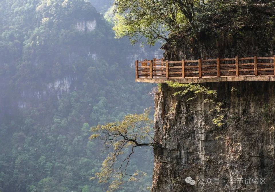 毕节发布最新旅游线路和奖励政策