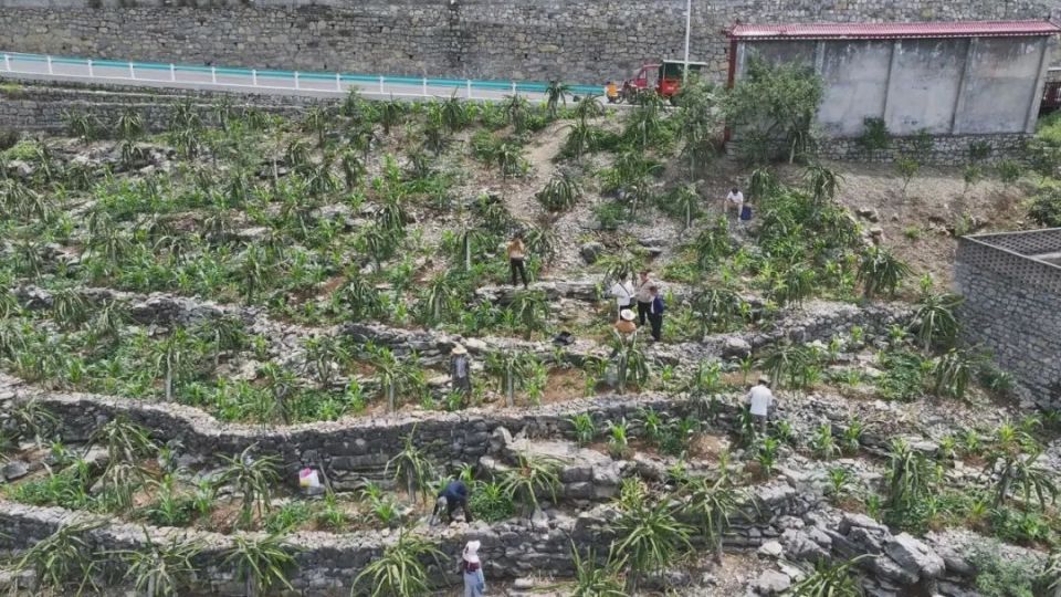 花江镇:实施以工代赈项目  助力群众增收致富