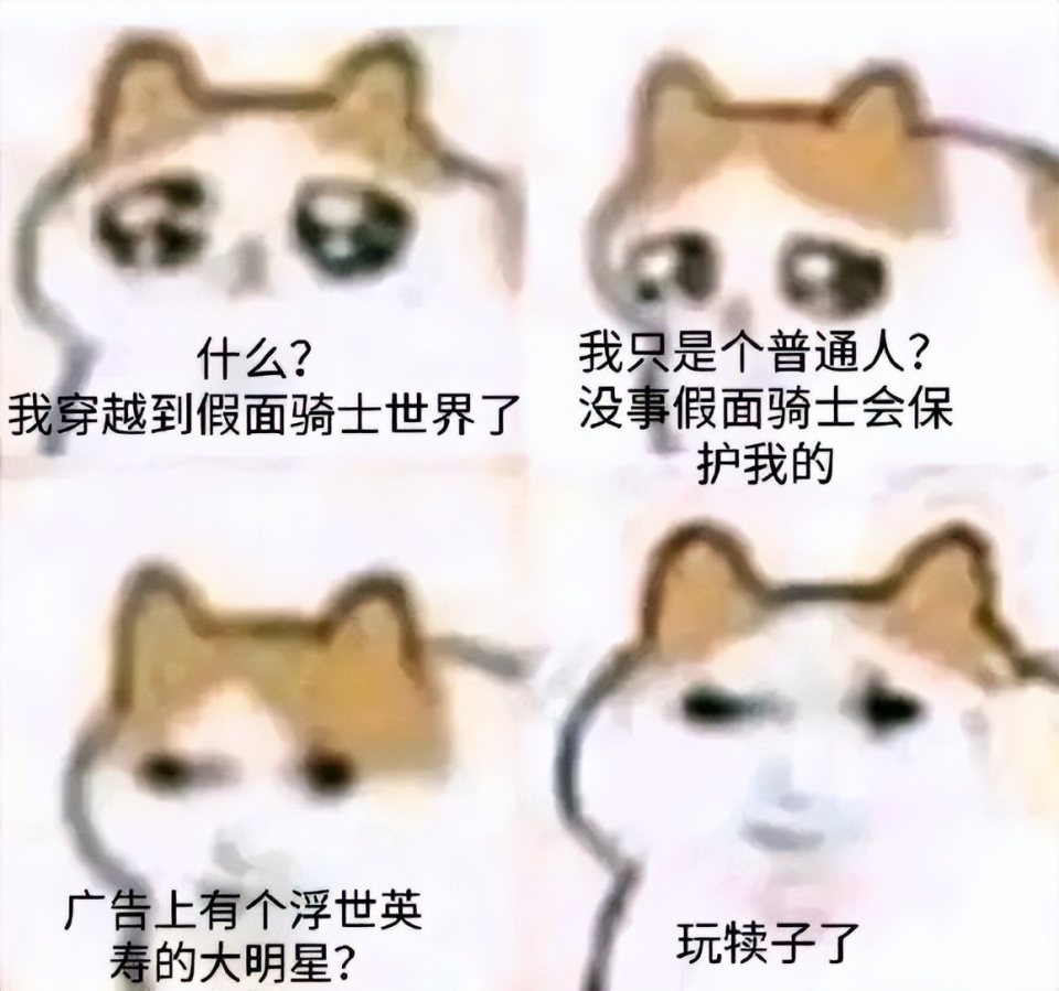 啊，不行了，这猫猫meme图太可爱了_腾讯新闻