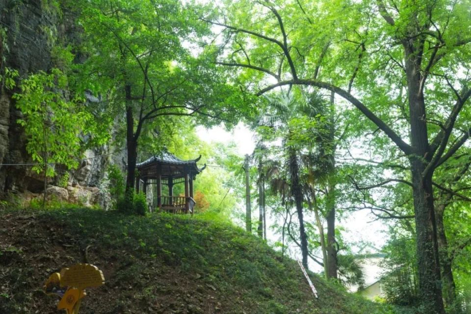 绿荫树浓, 烂漫夏日,宁国快乐的打卡点