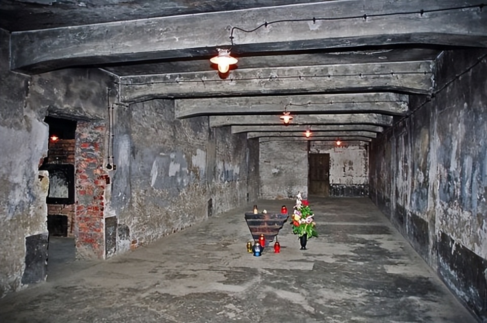 有人在纳粹毒气室中幸存下来吗