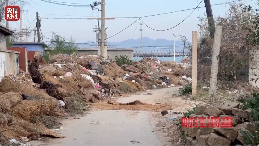 恶臭弥漫、垃圾围村！总台《财经调查》曝光多地违法倾倒乱象_腾讯新闻