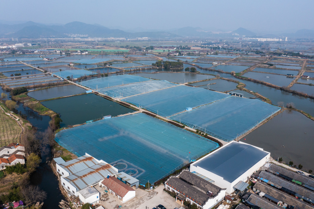 水产养殖场照片图片