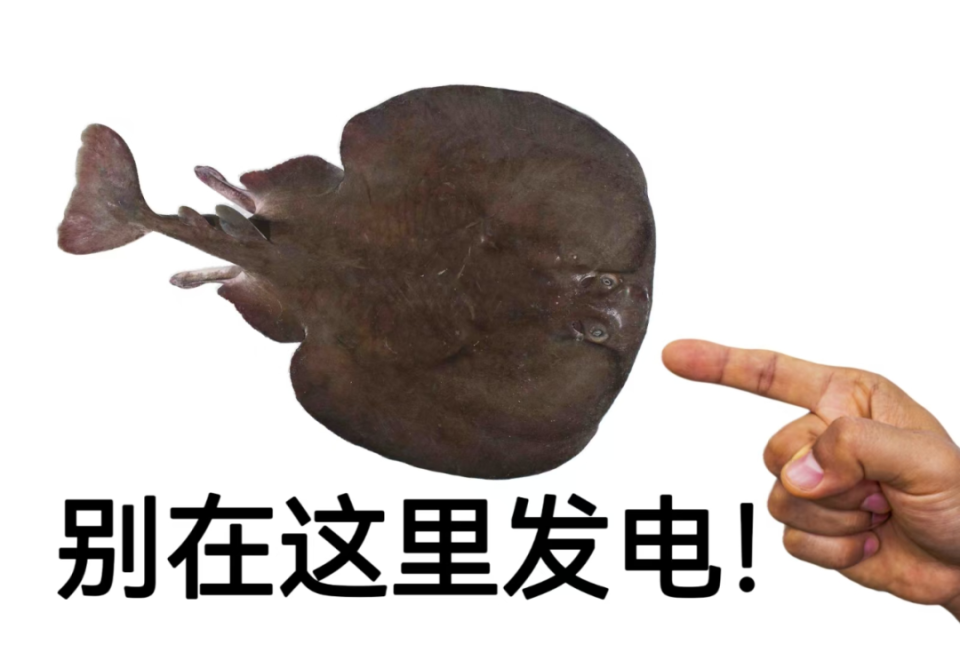 海滩惊现不明生物,人枕着它可以止痛?