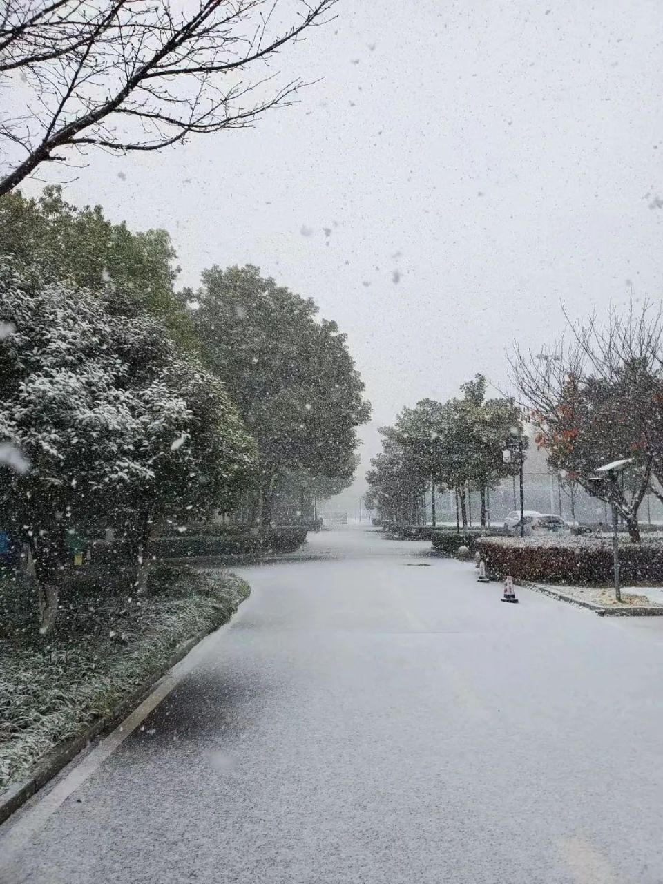2023第一场雪!来了!