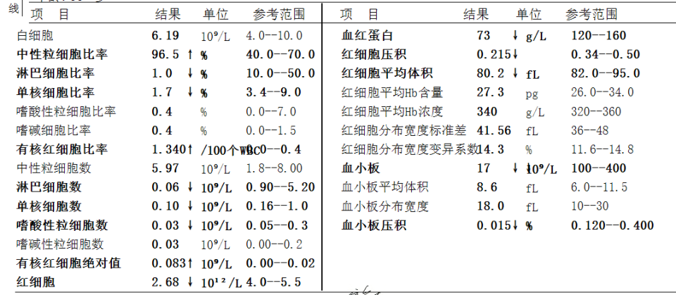 血常规正常结果图图片