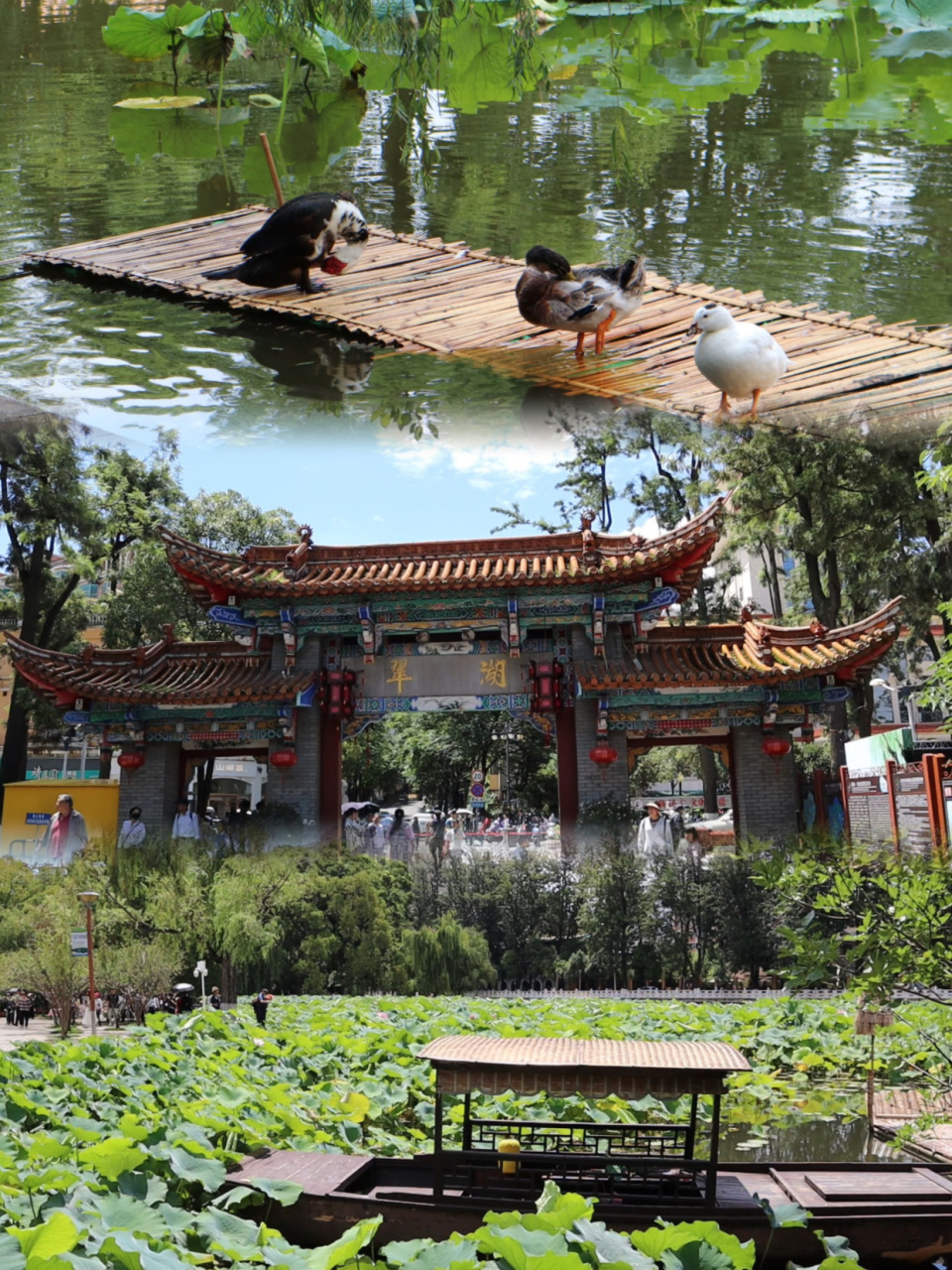 夏季避暑就来昆明,免费景点,城市一日游