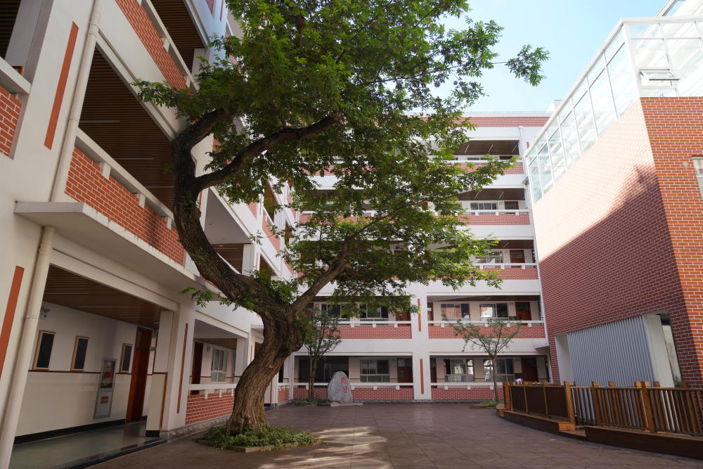 上海市十五中学:星奔川骛,共建文明校园