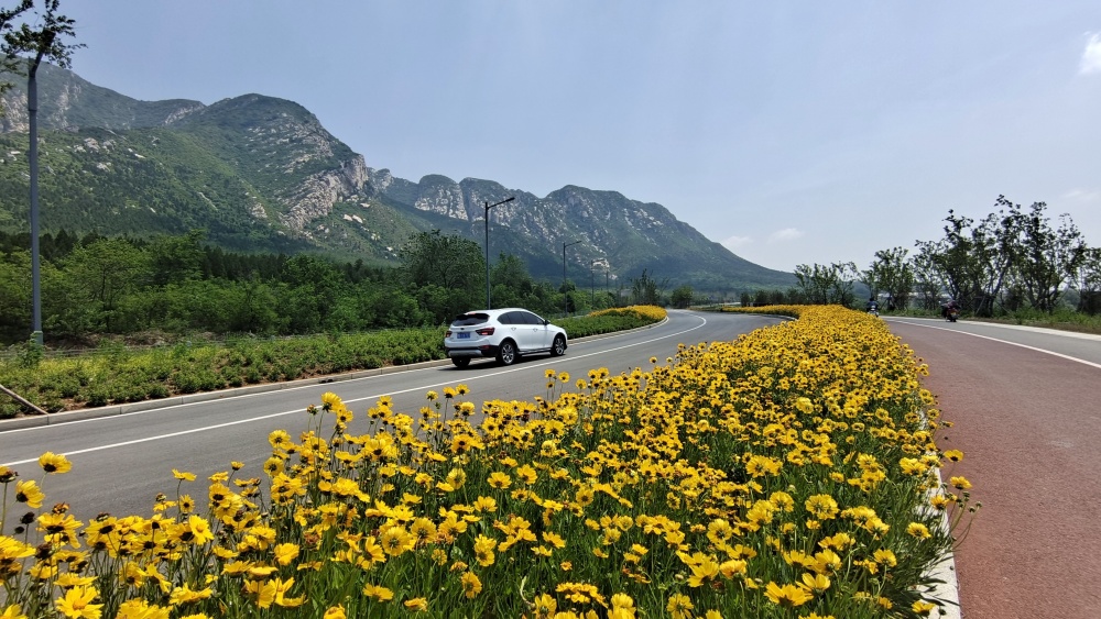 总投资超368亿元,郑州市加快推进旅游公路建设