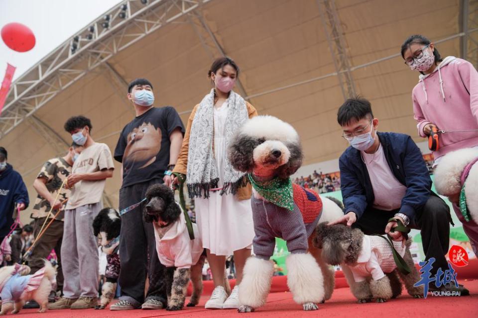 宠物嘉年华在华农举行_腾讯新闻