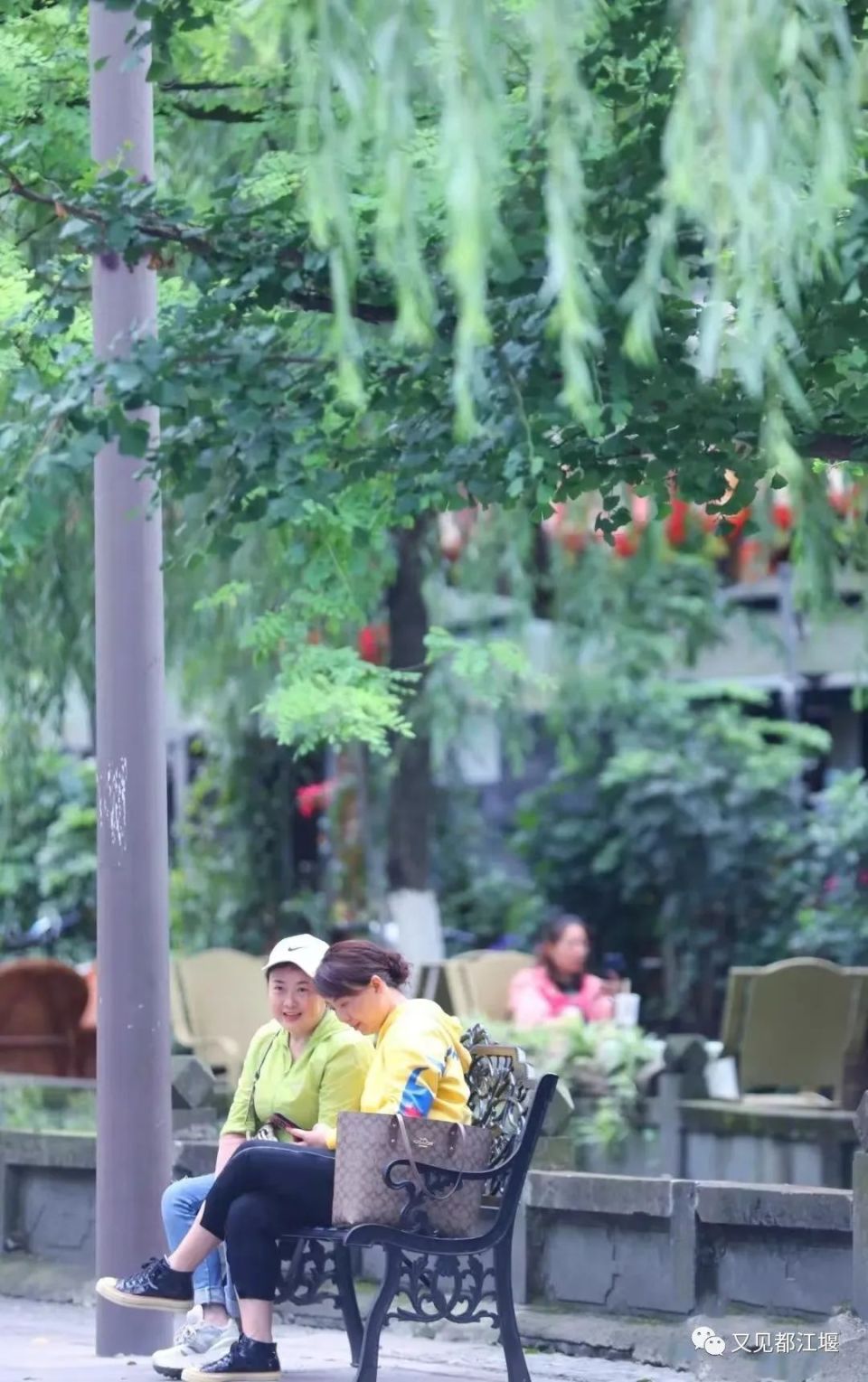 夏日晚风,古堰街头.邀你一起在都江堰老街转角遇见爱与幸福