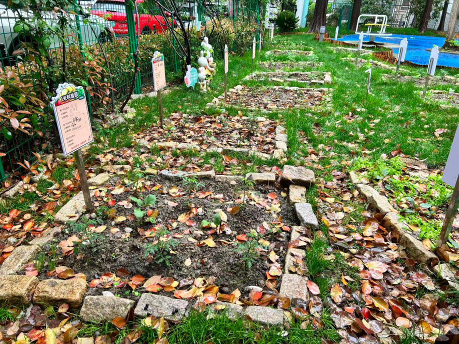 这里的花园升级啦!