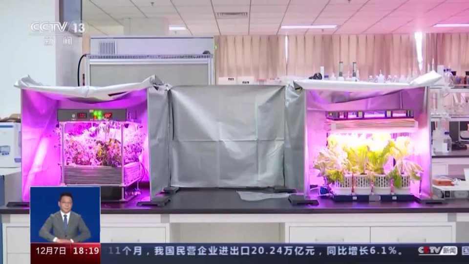 “太空菜园”迎丰收，“天宫”种菜如何实现？_腾讯新闻